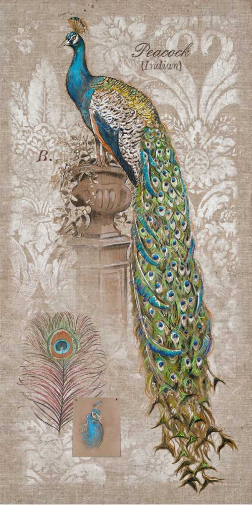 Peacock Linen 2 art print by Chad Barrett for $57.95 CAD
