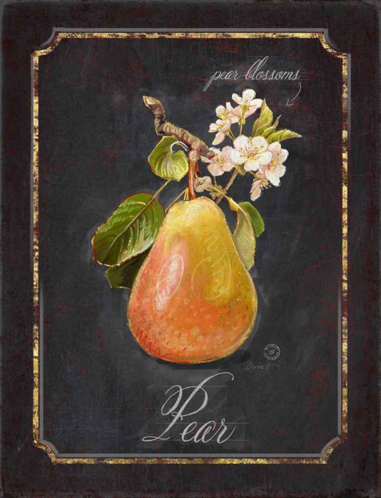 Heritage Pear art print by Chad Barrett for $57.95 CAD