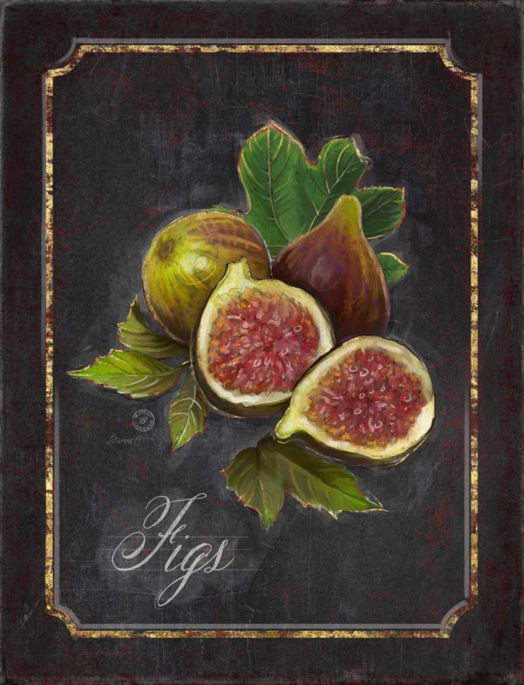 Heritage Figs art print by Chad Barrett for $57.95 CAD