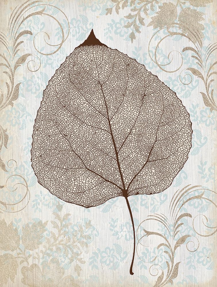 Lacecap art print by Jan Cooley for $57.95 CAD