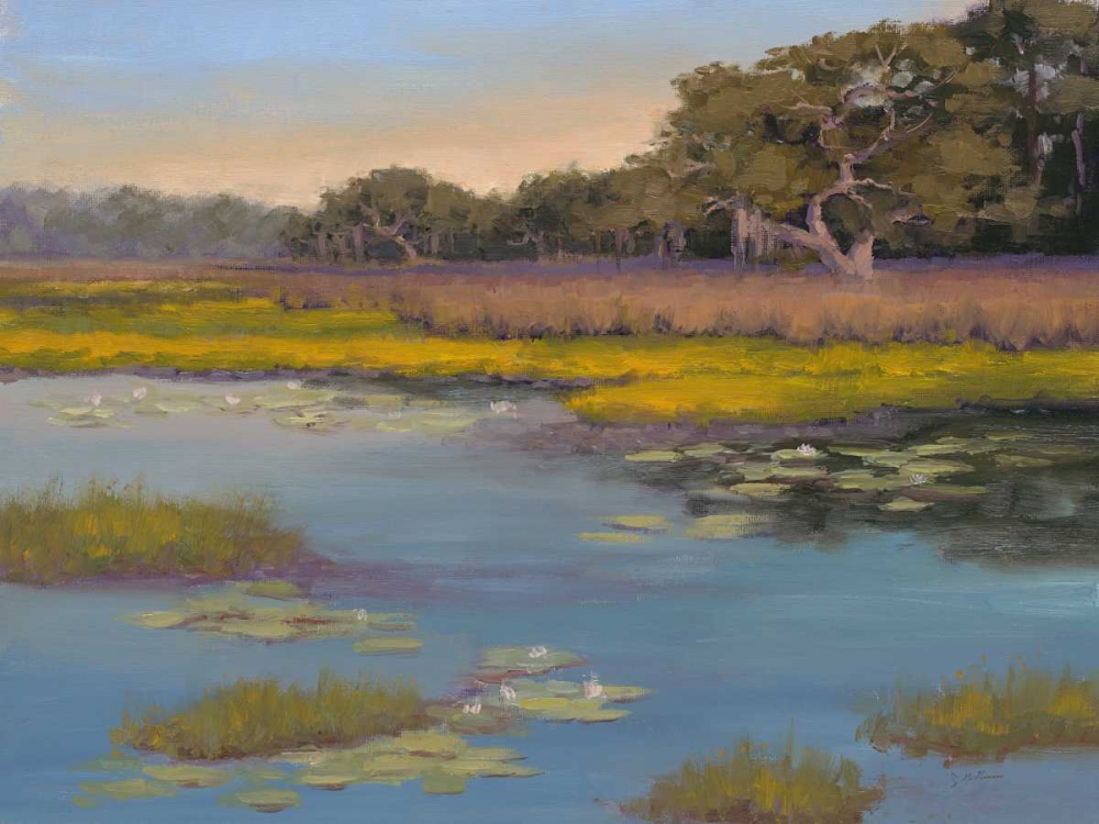 Waterlily Bay art print by Jill Schultz McGannon for $57.95 CAD