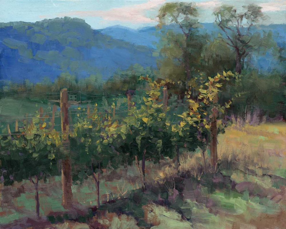 Vineyard On The Hill art print by Jill Schultz McGannon for $57.95 CAD