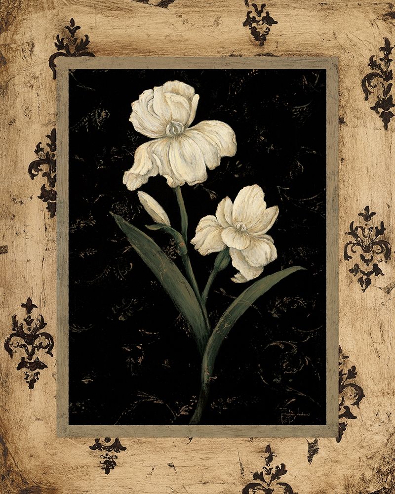 Silver Iris art print by Regina Andrew for $57.95 CAD
