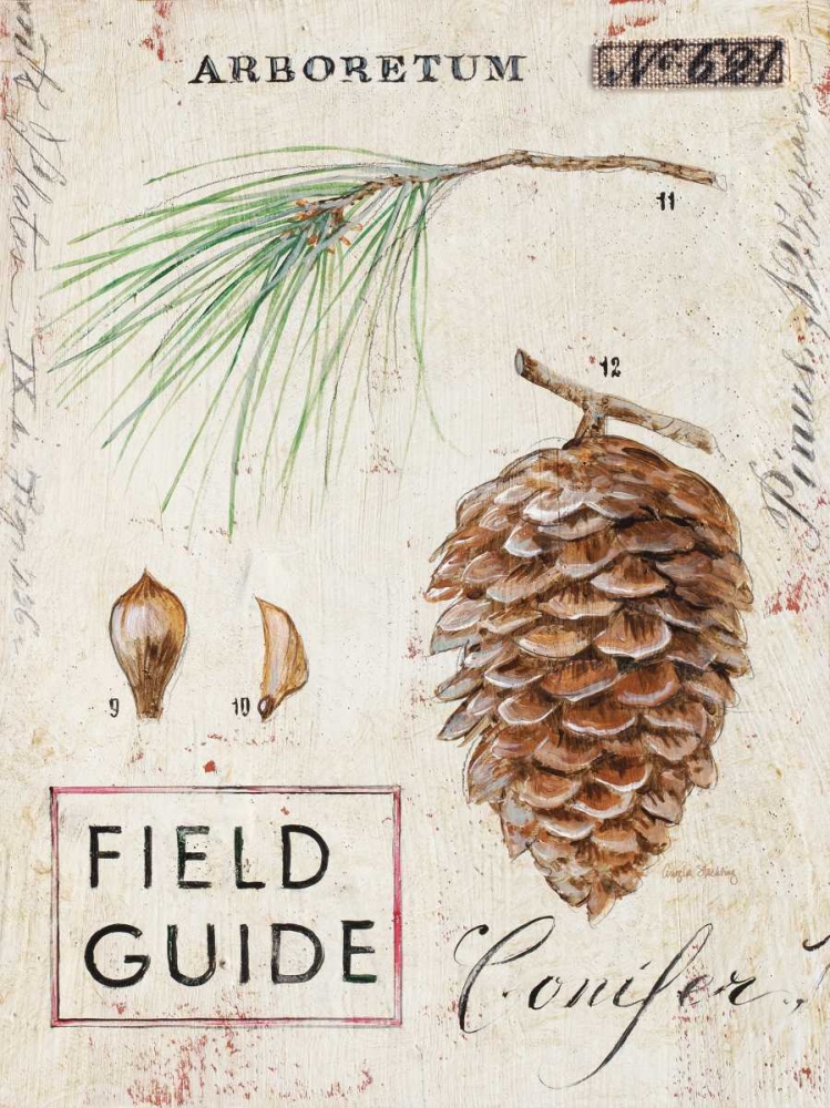 Natures Pinecone art print by Angela Staehling for $57.95 CAD