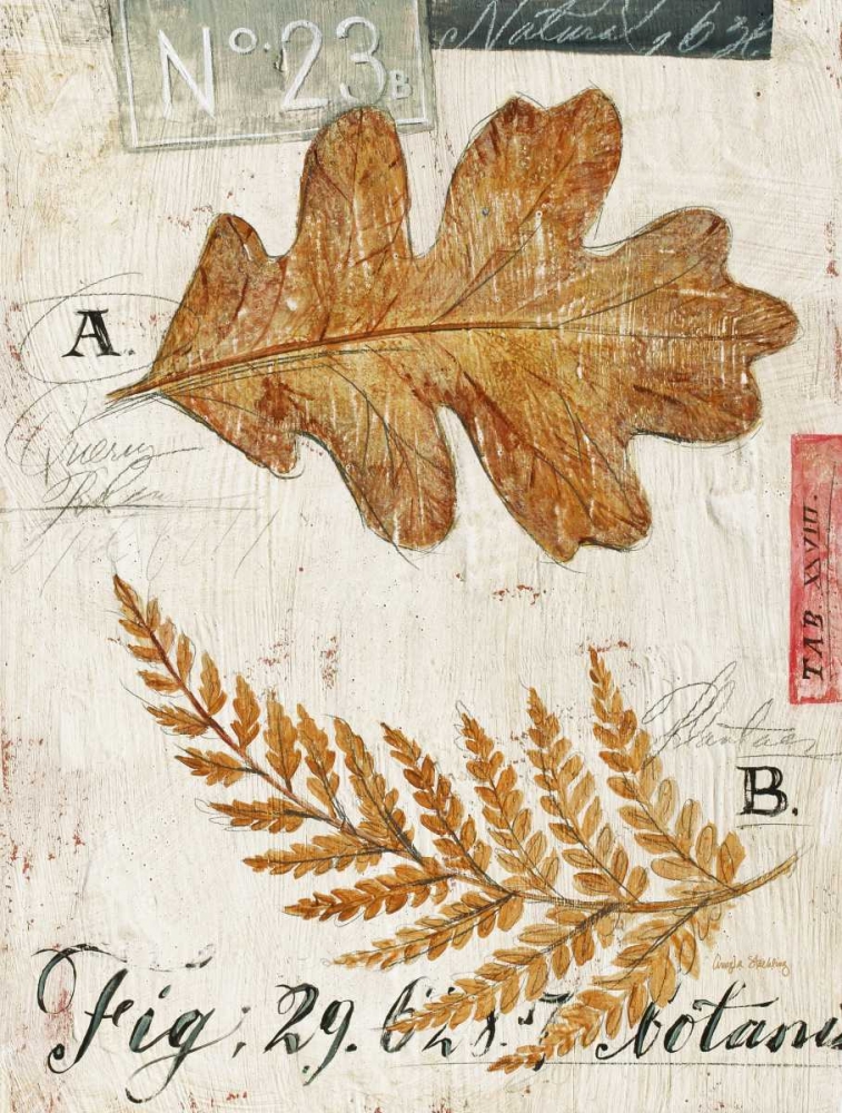 Natures Leaves art print by Angela Staehling for $57.95 CAD