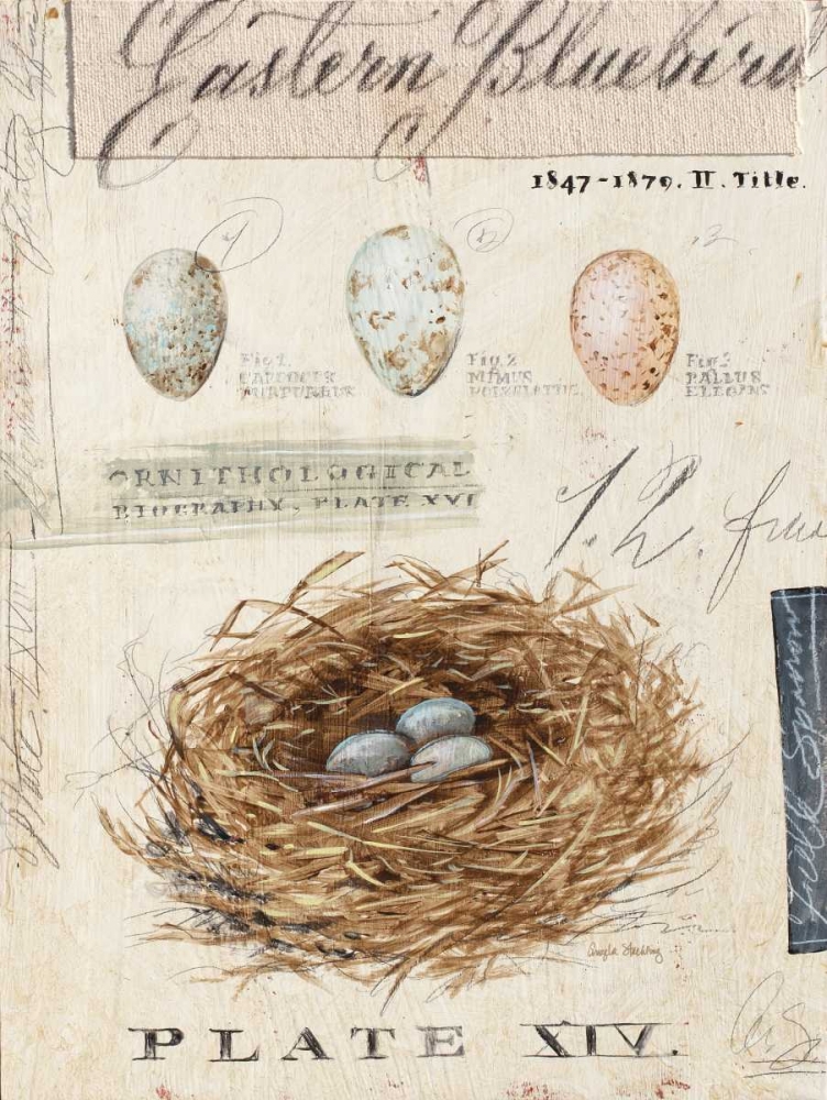 Natures Nest art print by Angela Staehling for $57.95 CAD