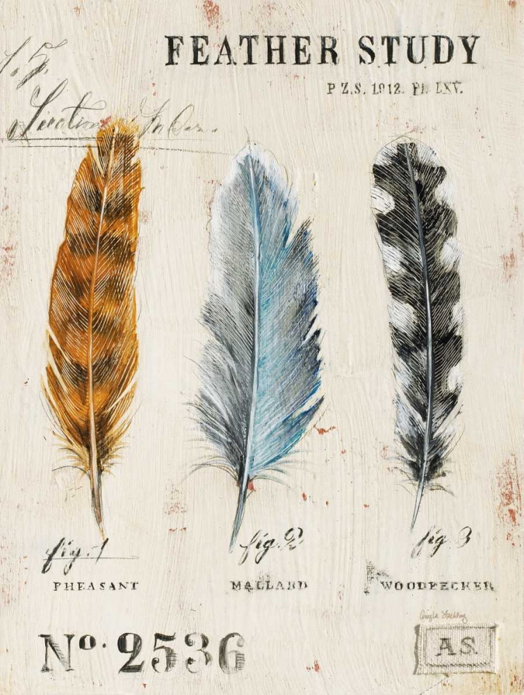 Natures Feathers art print by Angela Staehling for $57.95 CAD