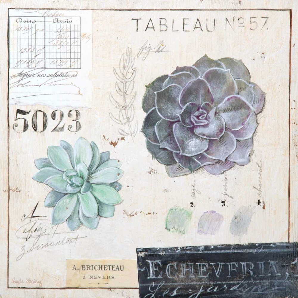 Echeveria-Sketchbook art print by Angela Staehling for $57.95 CAD