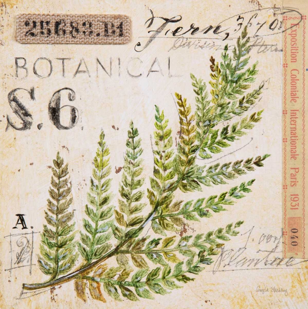 Fern Leaf-Sketchbook art print by Angela Staehling for $57.95 CAD