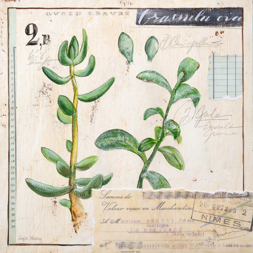 Jade-Sketchbook art print by Angela Staehling for $57.95 CAD