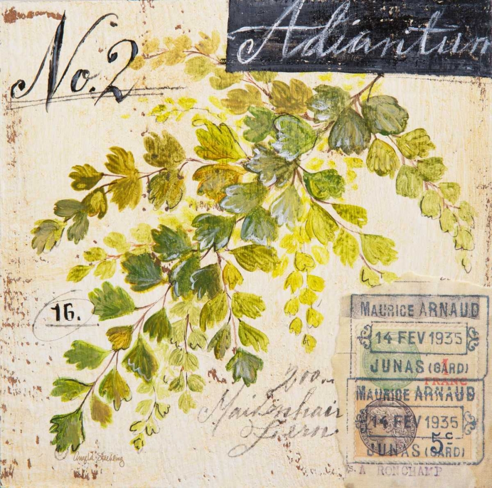 Maidenhair Fern-Sketchbook art print by Angela Staehling for $57.95 CAD