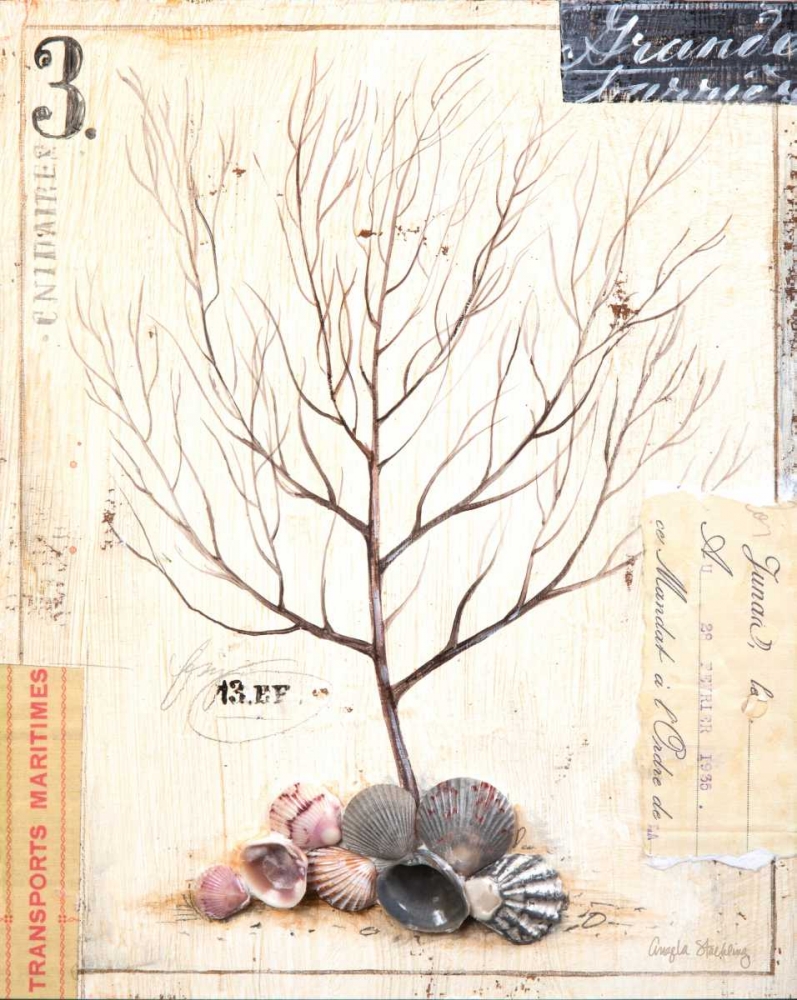 Coral Sketchbook art print by Angela Staehling for $57.95 CAD