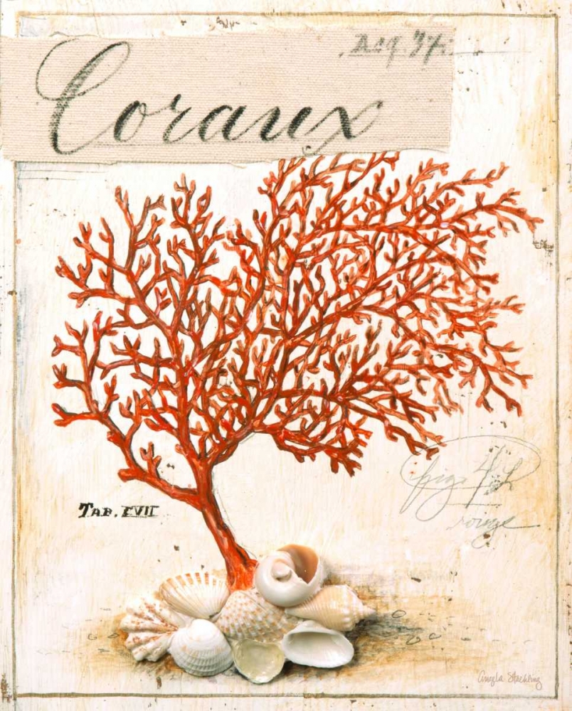 Coral No.5 Sketchbook art print by Angela Staehling for $57.95 CAD