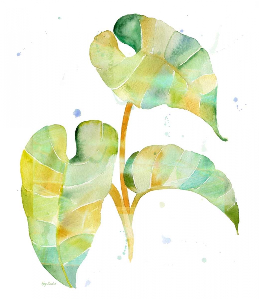 Watercolour Tropical 3 art print by Mary Escobedo for $57.95 CAD