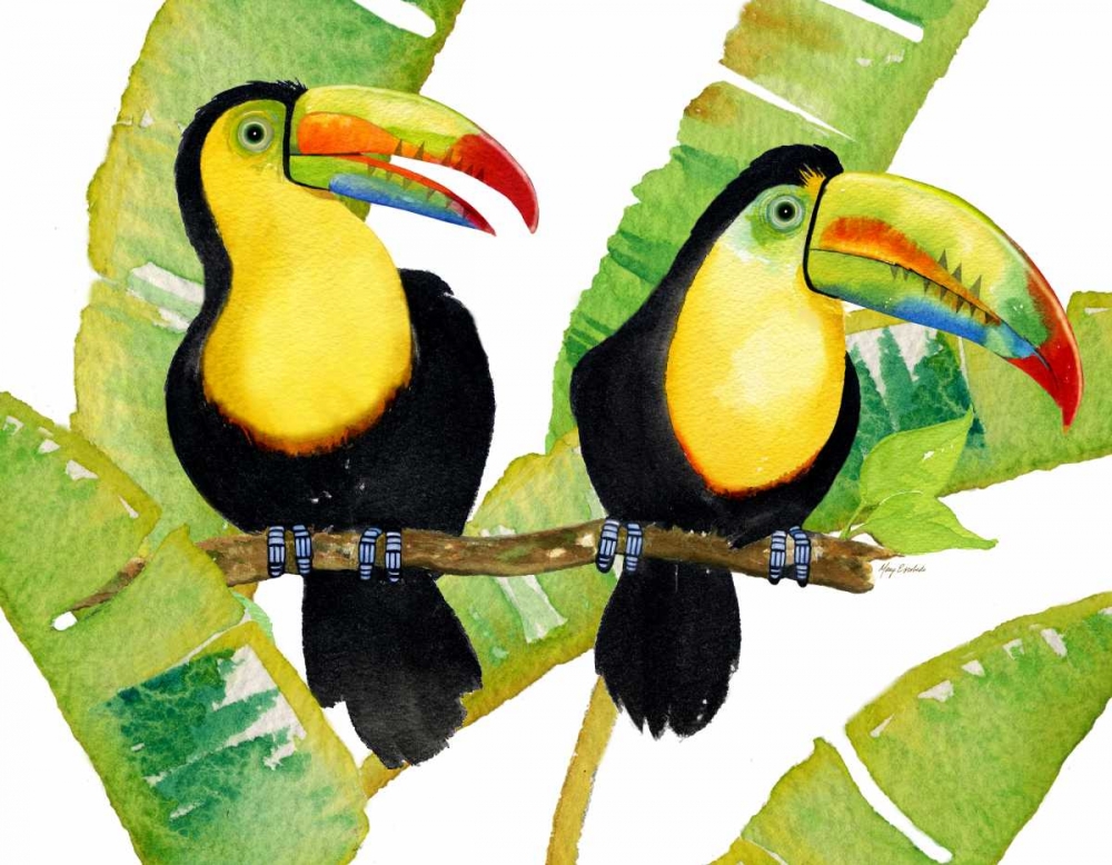 Tropcial Toucan Pair art print by Mary Escobedo for $57.95 CAD