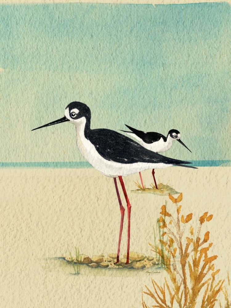 Seabirds By The Sea art print by Mary Escobedo for $57.95 CAD
