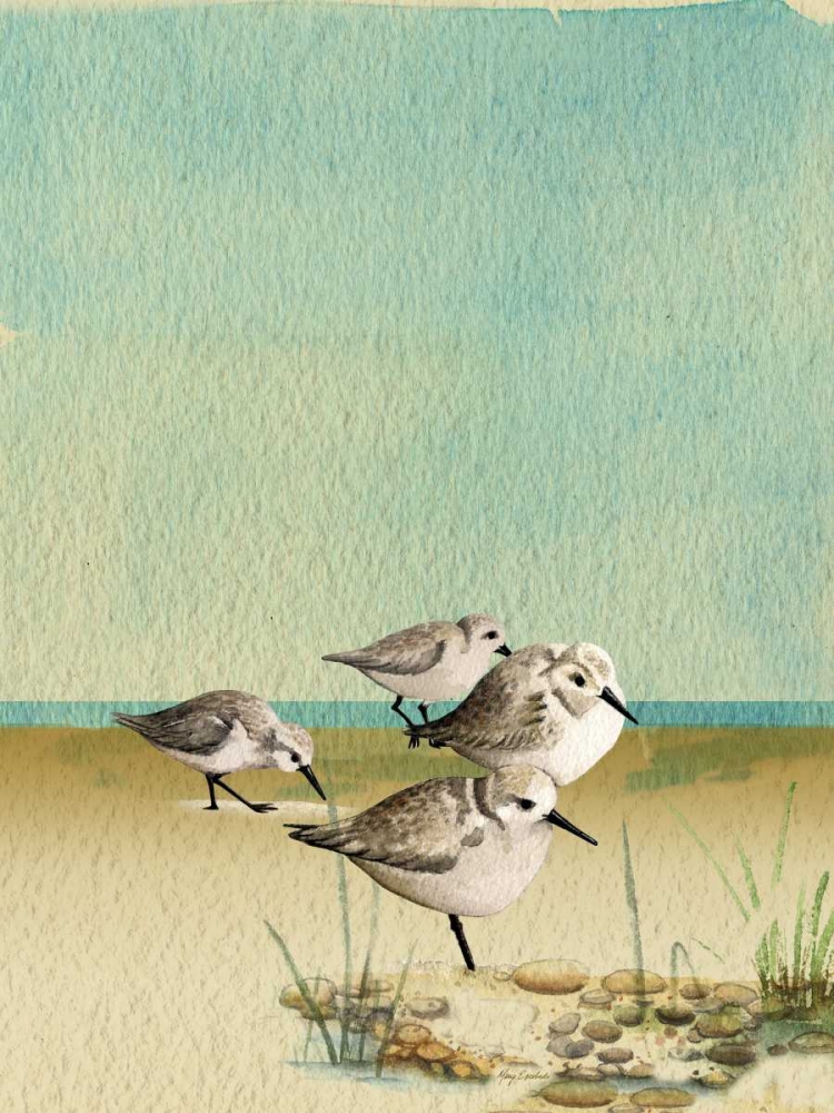 Sandpipers By The Sea art print by Mary Escobedo for $57.95 CAD