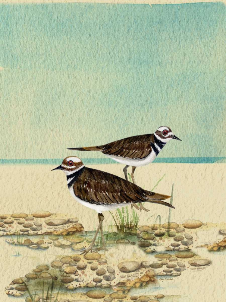 Killdeer By The Sea art print by Mary Escobedo for $57.95 CAD