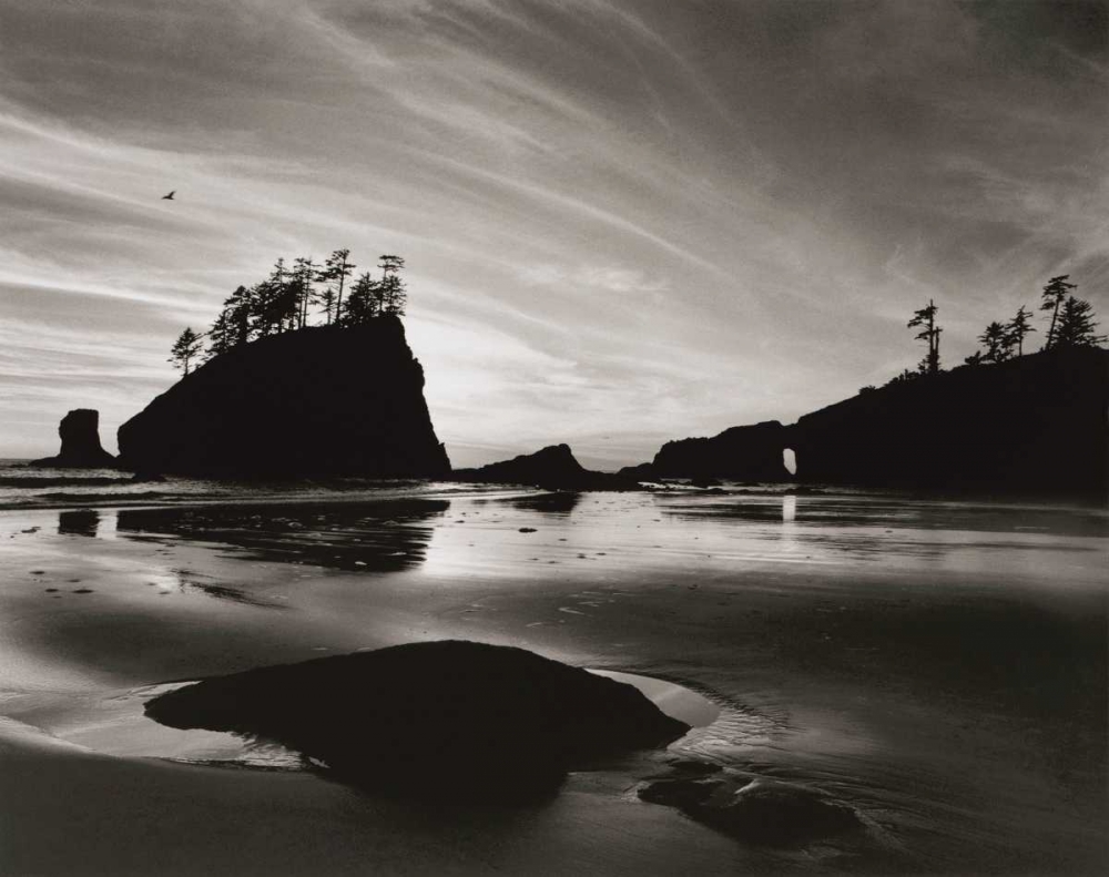 Low Tide Morning art print by Brett Aniballi for $57.95 CAD