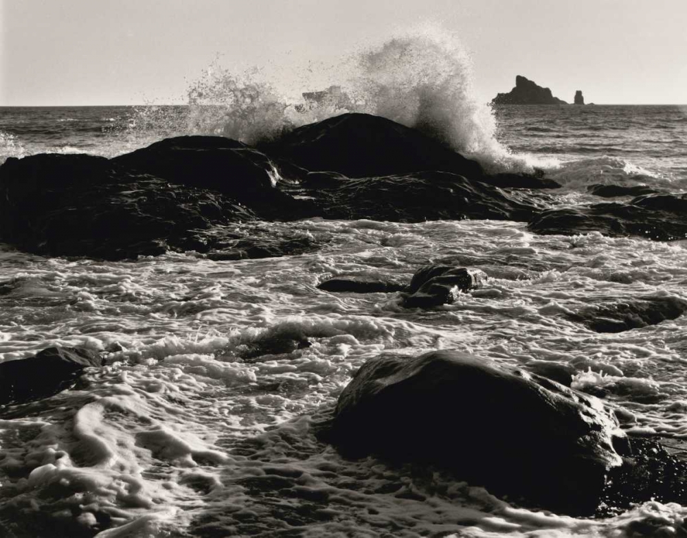 Roar of the Ocean art print by Brett Aniballi for $57.95 CAD