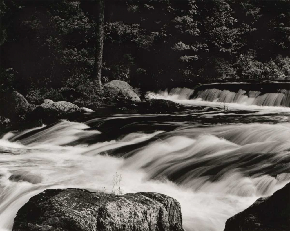 Rushing Waters art print by Brett Aniballi for $57.95 CAD