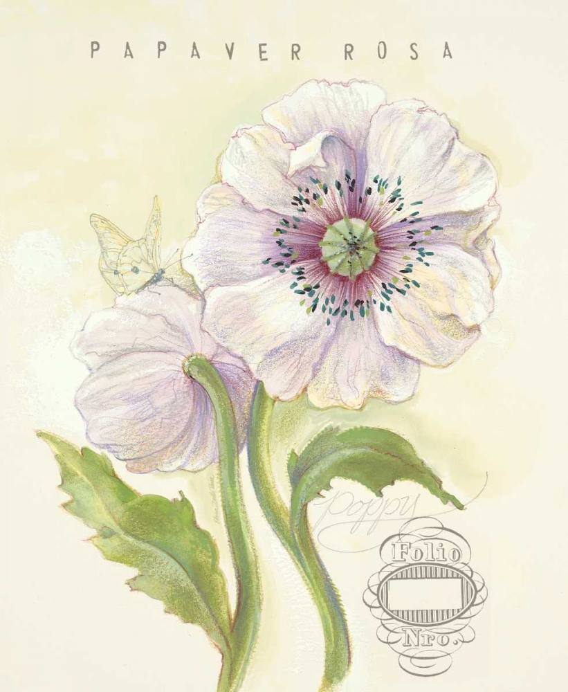 Claires Garden Poppy art print by Elissa Della-Piana for $57.95 CAD