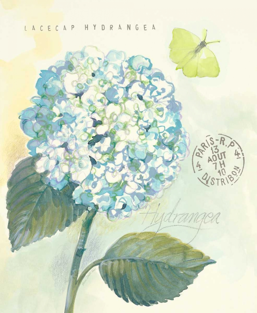 Claires Garden Hydrangea art print by Elissa Della-Piana for $57.95 CAD