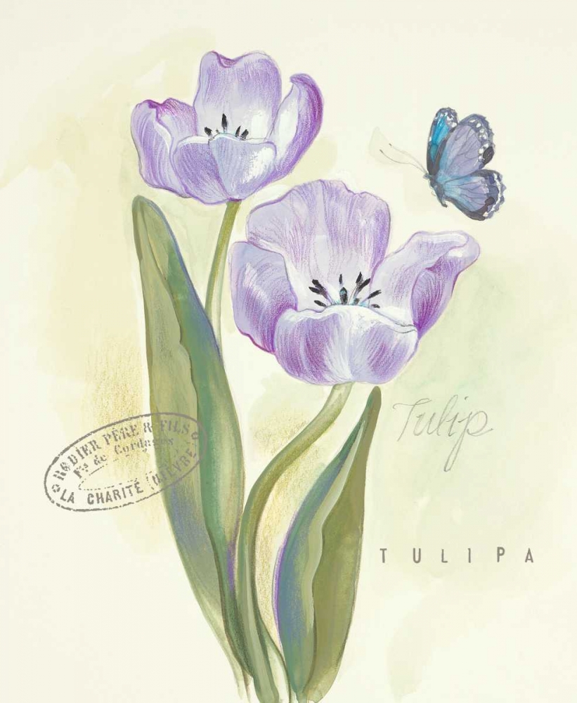 Claires Garden Tulip art print by Elissa Della-Piana for $57.95 CAD