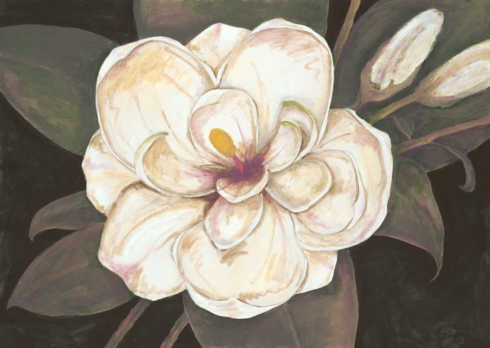 Southern Magnolia art print by Fillippo Ioco for $57.95 CAD