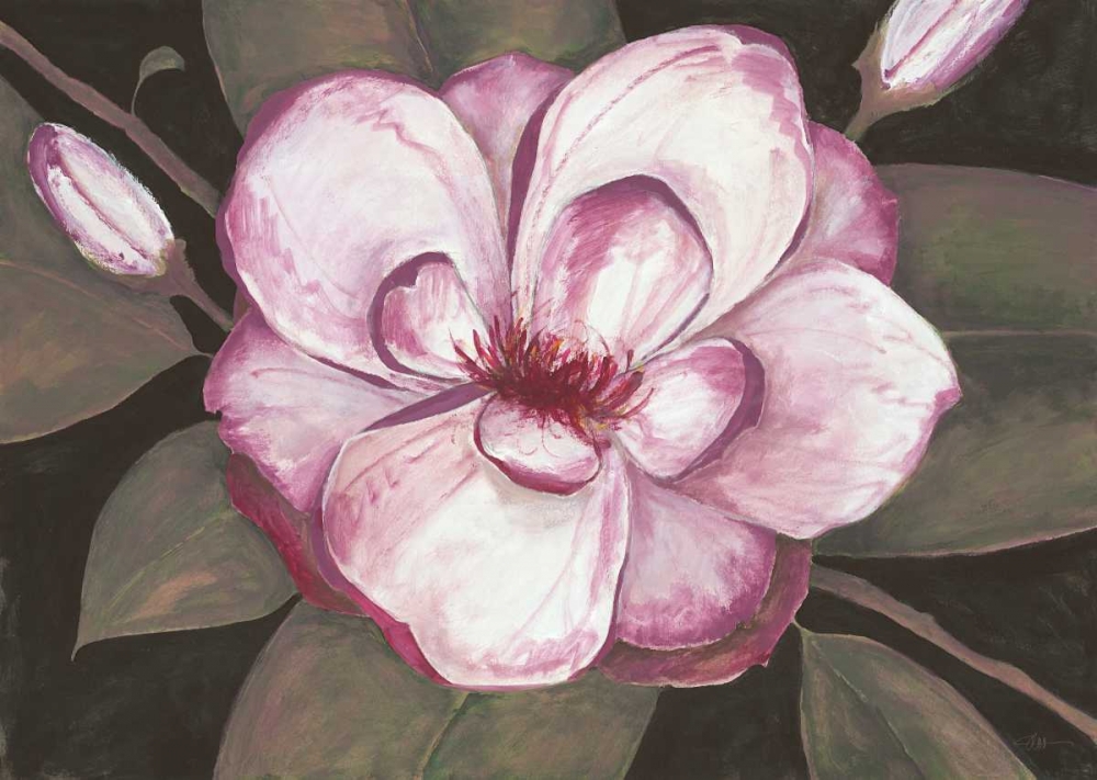 Blushing Magnolia art print by Fillippo Ioco for $57.95 CAD