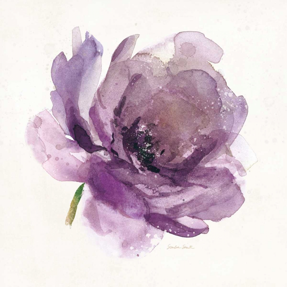 Watery Plum Bloom 1 art print by Sandra Smith for $57.95 CAD