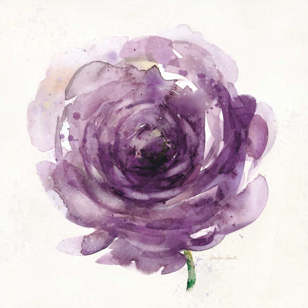 Watery Plum Bloom 2 art print by Sandra Smith for $57.95 CAD