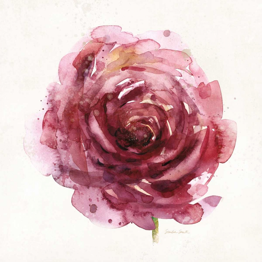 Watery Red Bloom 1 art print by Sandra Smith for $57.95 CAD