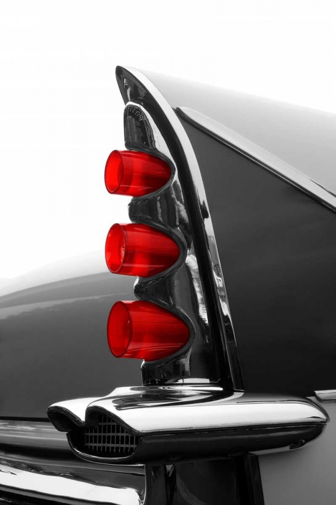 Gray Tailfin art print by Matt McCarthy for $57.95 CAD