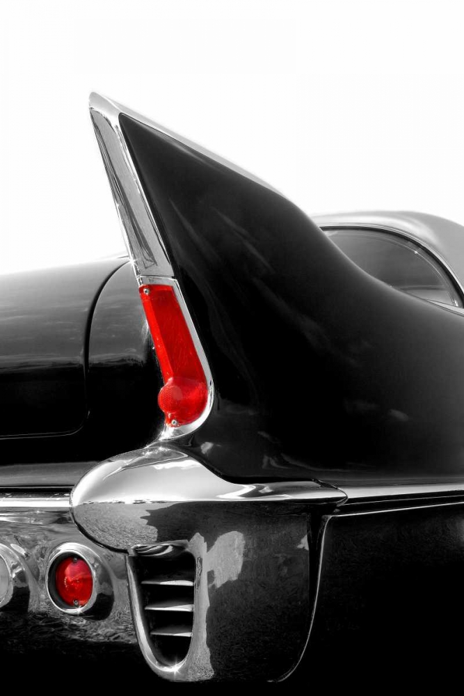 Black Tailfin art print by Matt McCarthy for $57.95 CAD