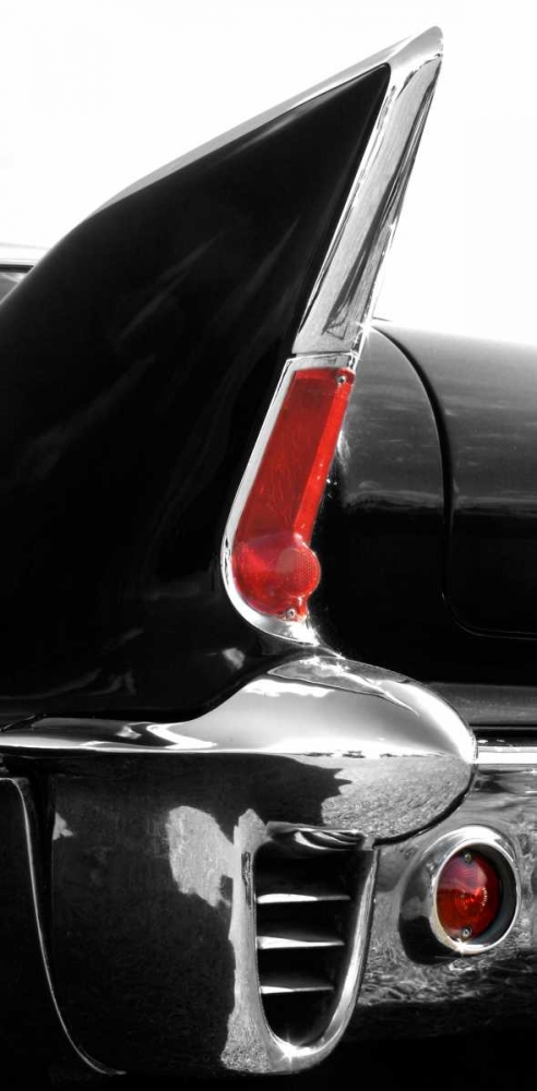 Black Tailfin art print by Matt McCarthy for $57.95 CAD
