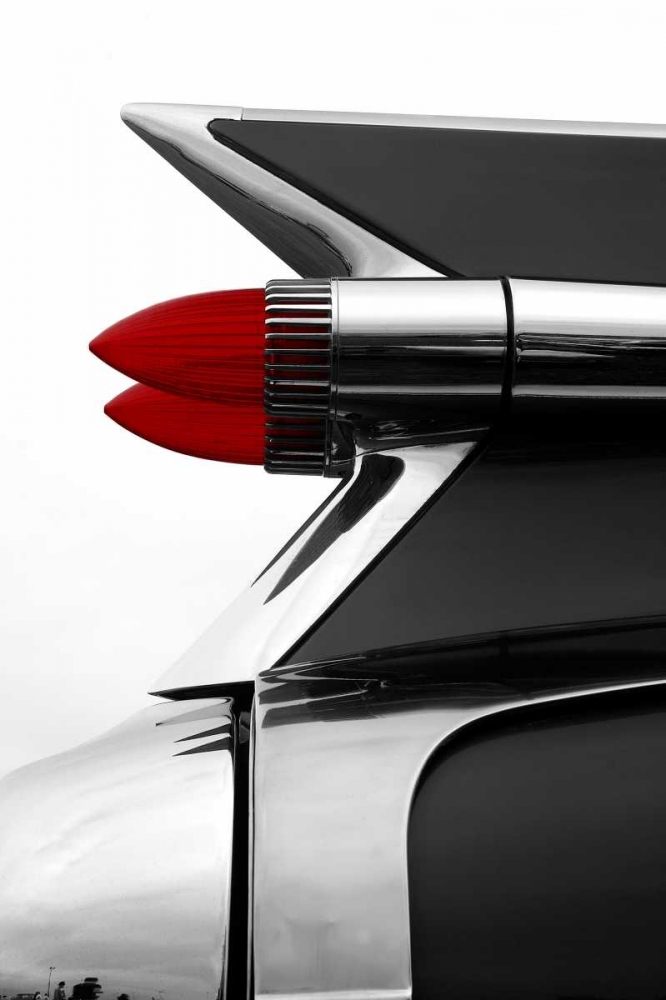 Charcoal Tailfin art print by Matt McCarthy for $57.95 CAD