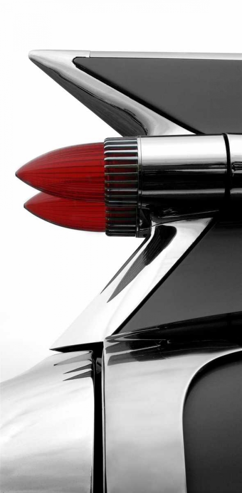 Charcoal Tailfin art print by Matt McCarthy for $57.95 CAD