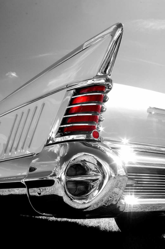 White Tailfin art print by Matt McCarthy for $57.95 CAD