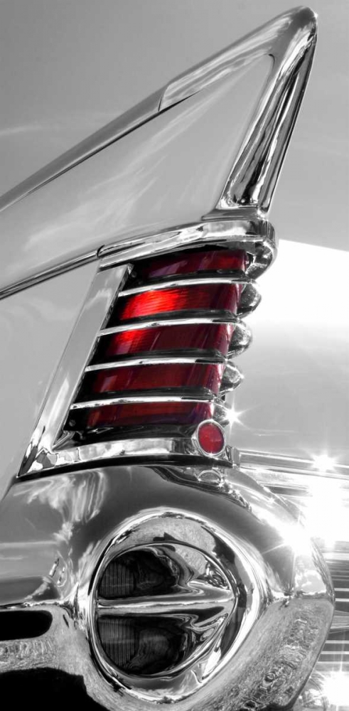 White Tailfin art print by Matt McCarthy for $57.95 CAD