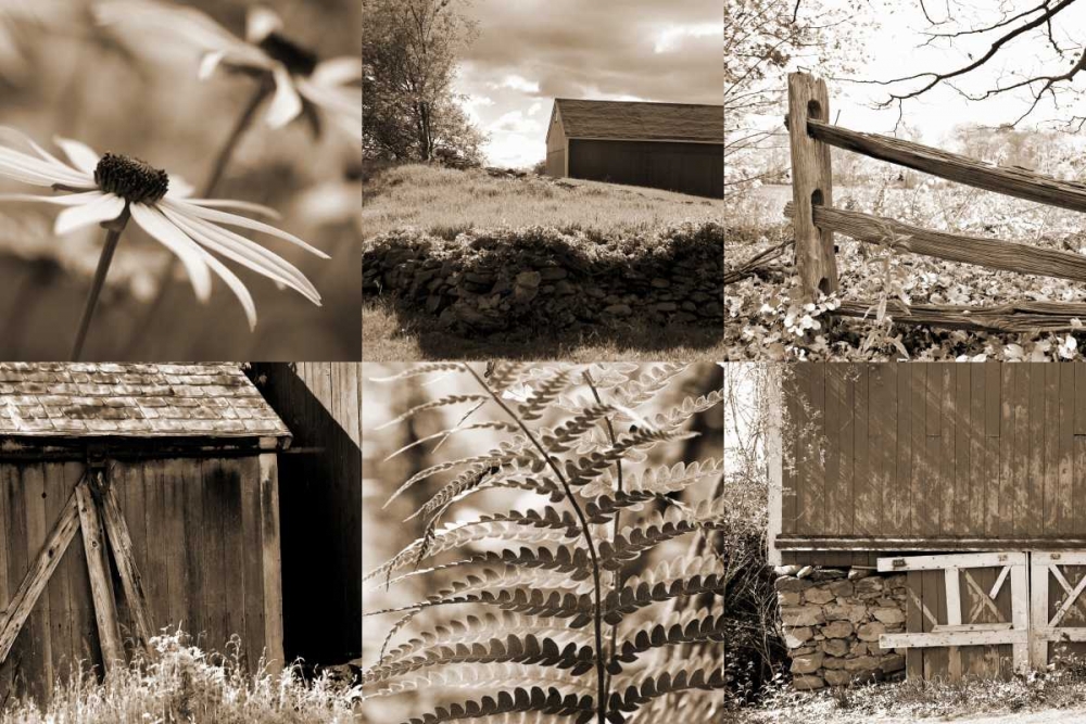 Roadside Beauty art print by Amber Light Gallery for $57.95 CAD
