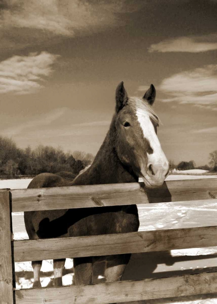At the Ranch art print by Amber Light Gallery for $57.95 CAD