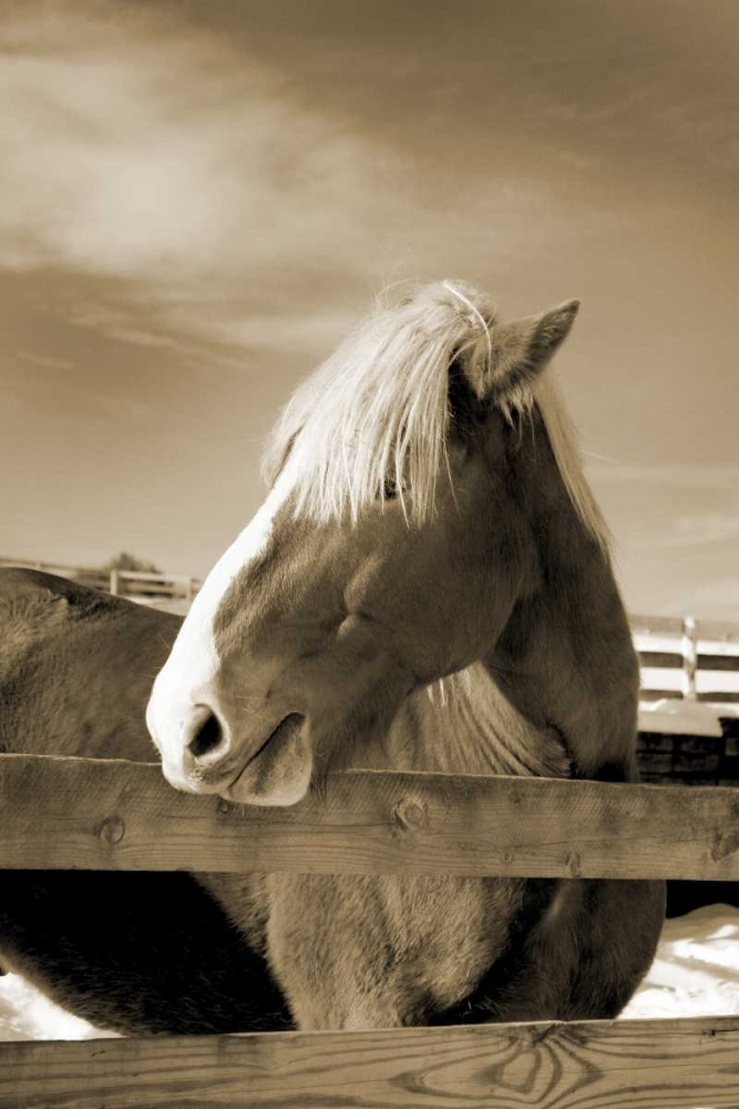 At the Farm art print by Amber Light Gallery for $57.95 CAD