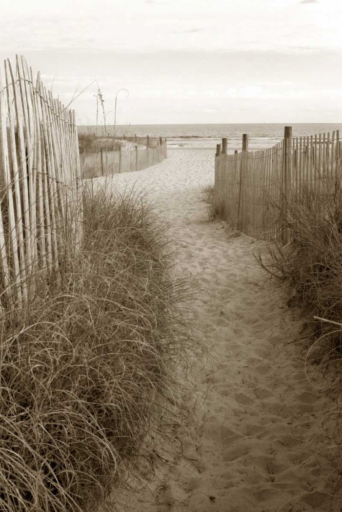 Beach Trail 1 art print by Amber Light Gallery for $57.95 CAD