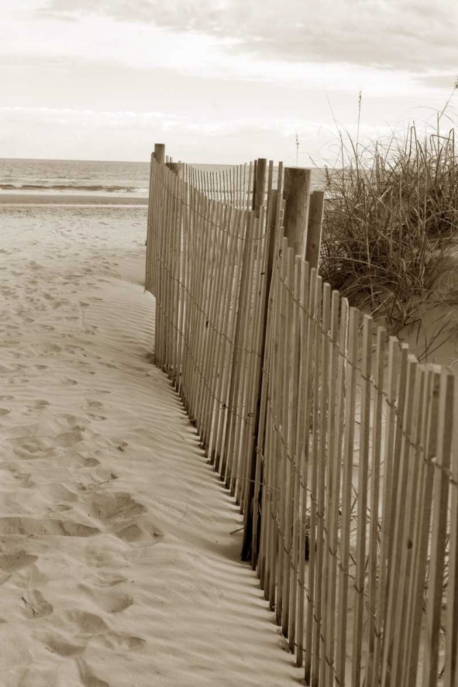 Beach Trail 2 art print by Amber Light Gallery for $57.95 CAD
