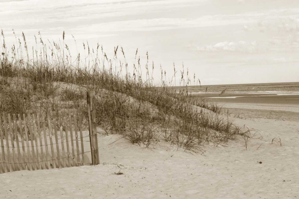 In the Dunes 1 art print by Amber Light Gallery for $57.95 CAD