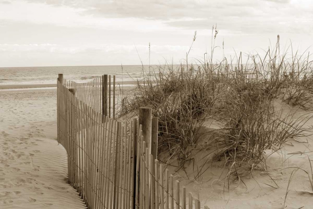 In the Dunes 2 art print by Amber Light Gallery for $57.95 CAD