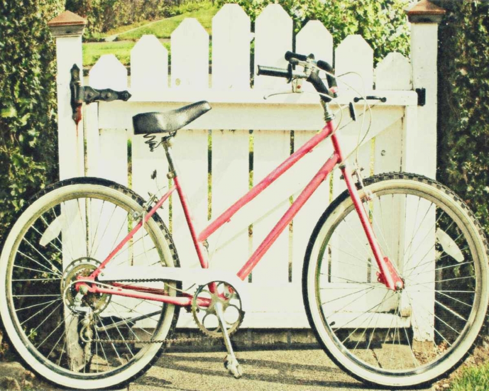 Vintage Pink Bike art print by Vicki Dvorak for $57.95 CAD