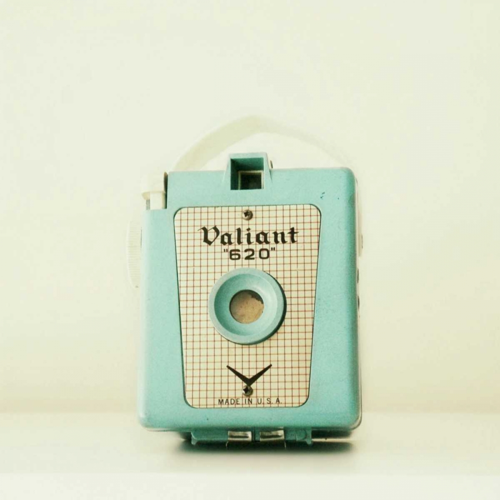 Blue Valiant Warmer art print by Vicki Dvorak for $57.95 CAD