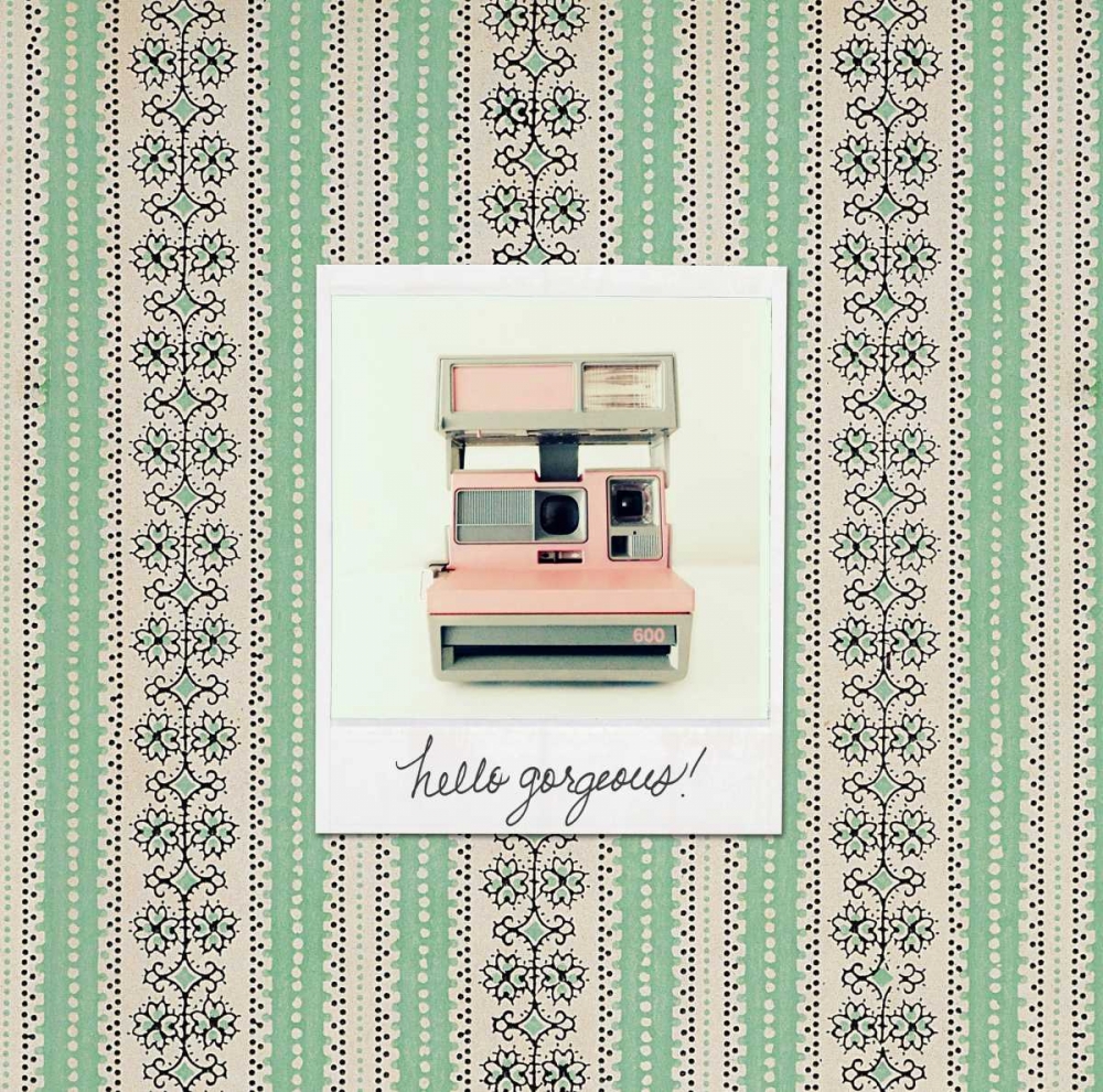 Hello Gorgeous Polaroid art print by Vicki Dvorak for $57.95 CAD